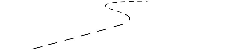 Dealer Services Network Logo