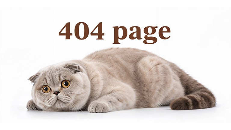how to fix broken links for seo how to fix broken links for seo