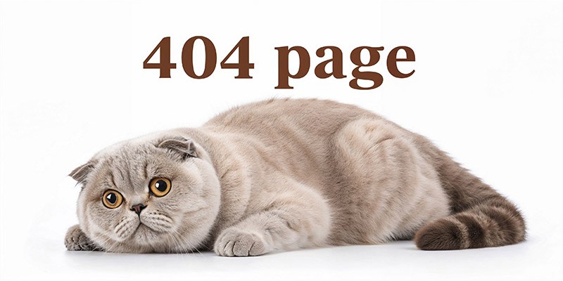 how to fix broken links for seo